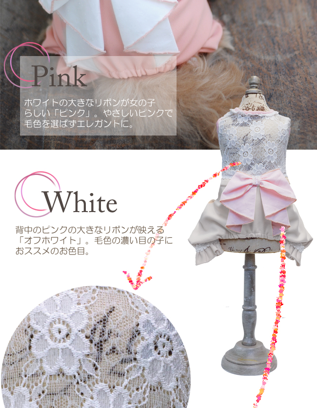 グラマーイズム「アナ」の背中のレース&お尻のリボン