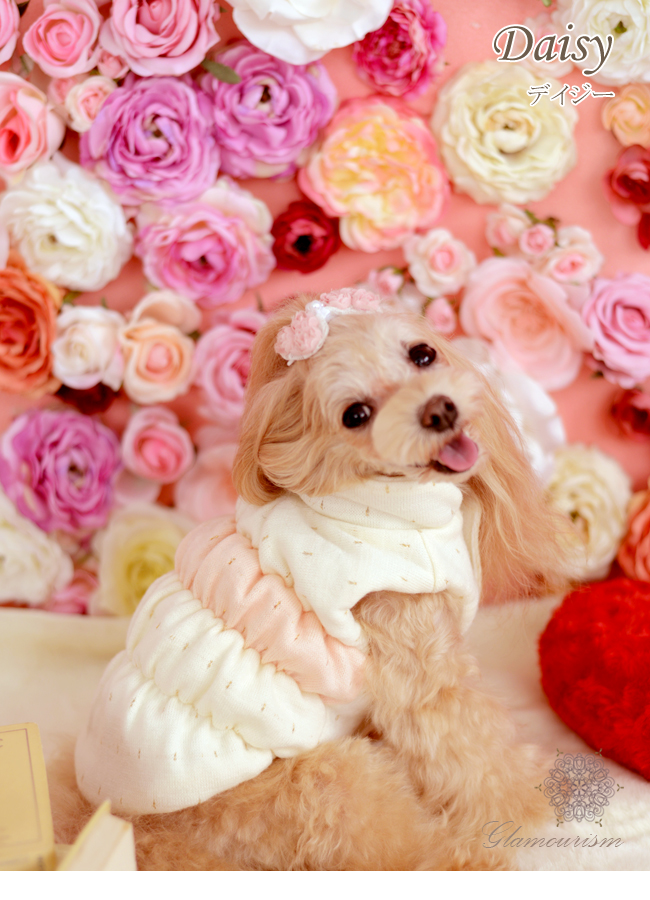 柔らかなニット素材を使用した犬用ふんわりシャーリングジャケットDaisy(デイジー)