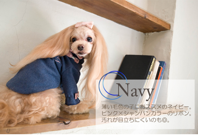 ジェニーのネイビー