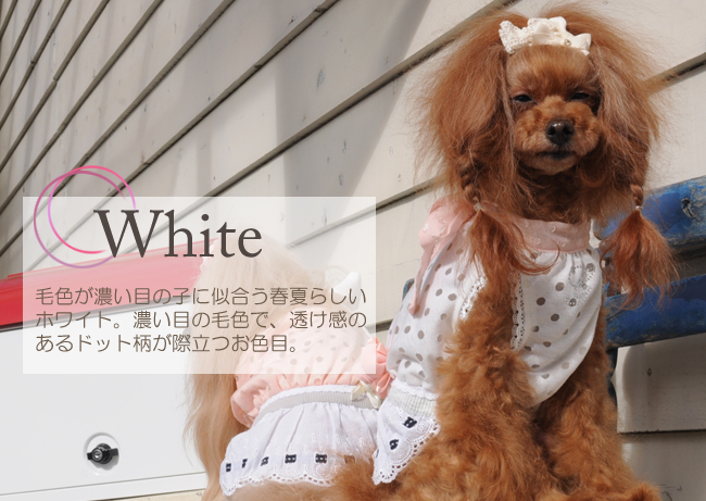 ミッシェル(Michelle)のホワイト
