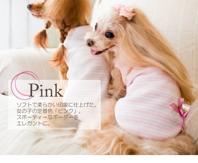 ノエルのピンク。ピンクのリボンがポイントに。