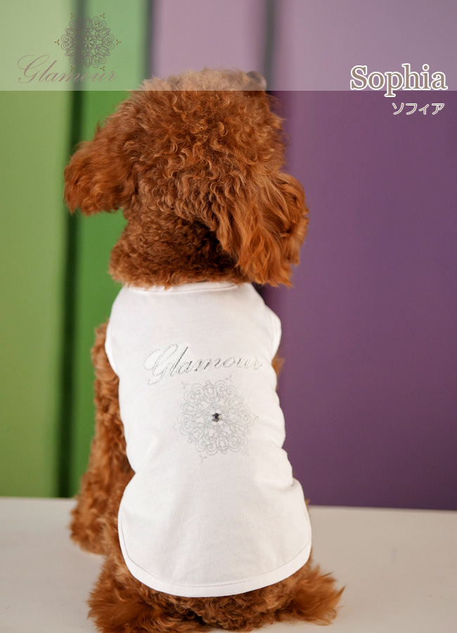 ストレッチとスリークな肌触りにこだわったシンプルTシャツ「Sophia(ソフィア)」