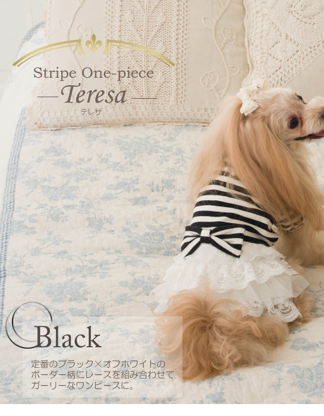 薄い毛色の子におススメのTeresa(テレサ)のブラック。
