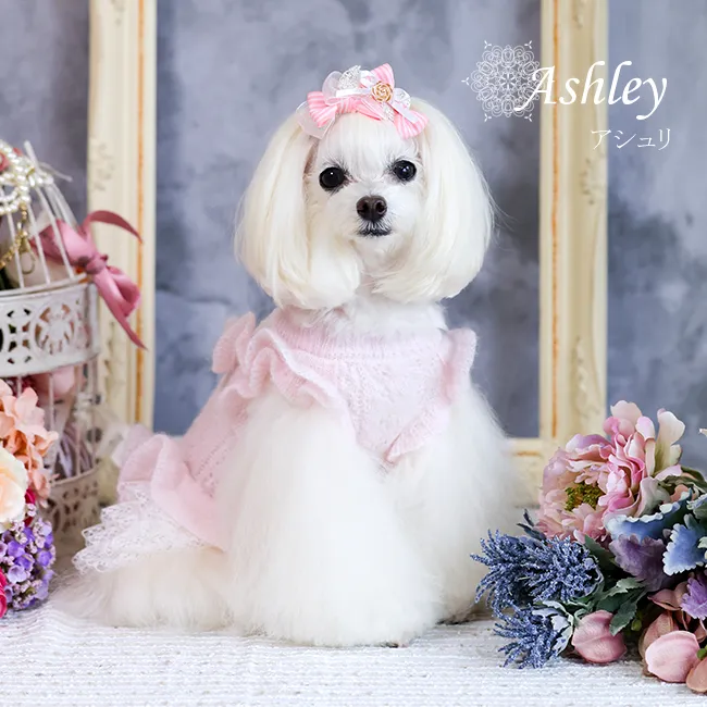 アシュリ(Ashley)