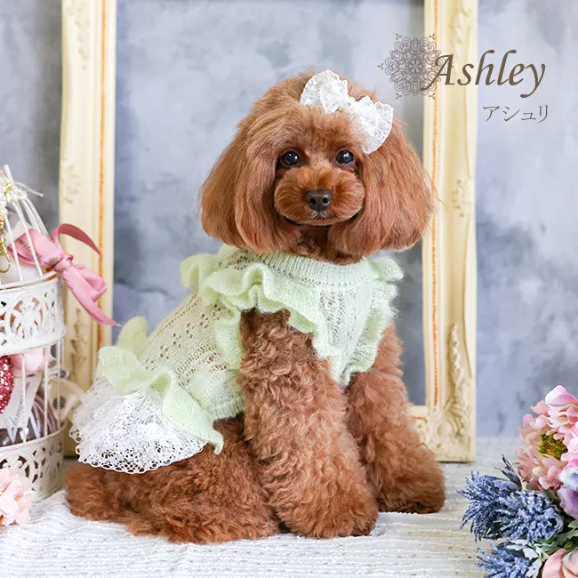 アシュリ(Ashley)