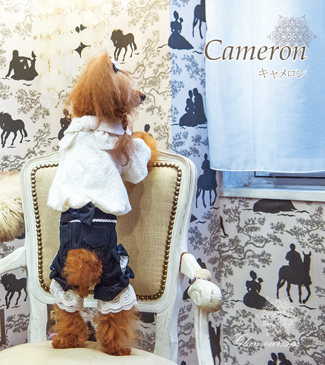 キャメロン（Cameron）