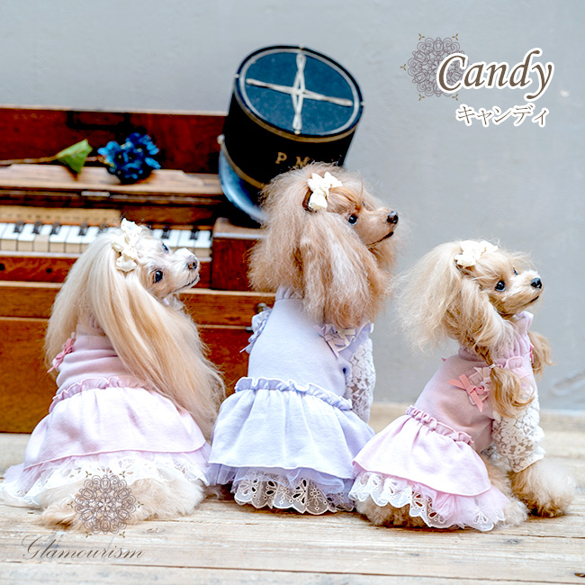 犬服ブランド グラマーイズム Glamourism キャンディ Candy 選べる2色