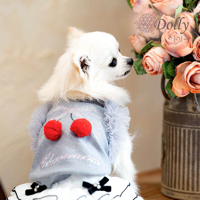 ドリー（Dolly）