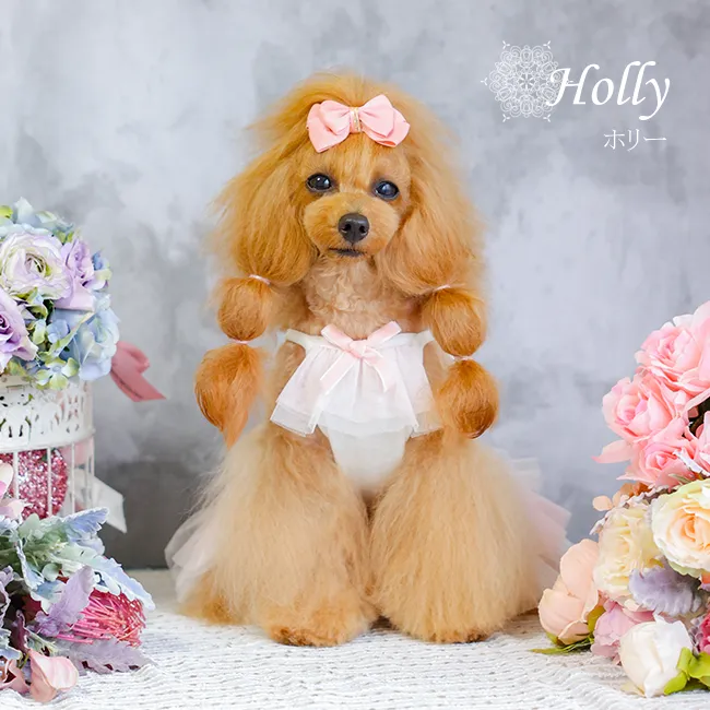 ホリー(Holly)