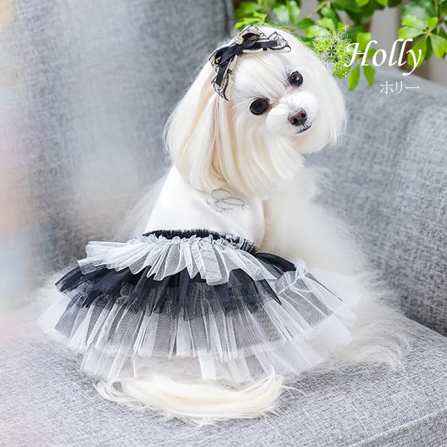 ホリー(Holly)