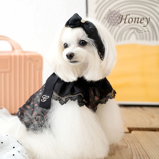 ハニー(Honey)