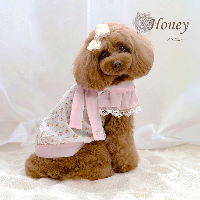 ハニー(Honey)