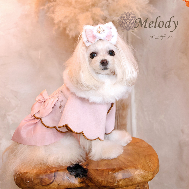 メロディー（Melody）