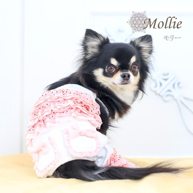 モリー（Mollie）選べる2色