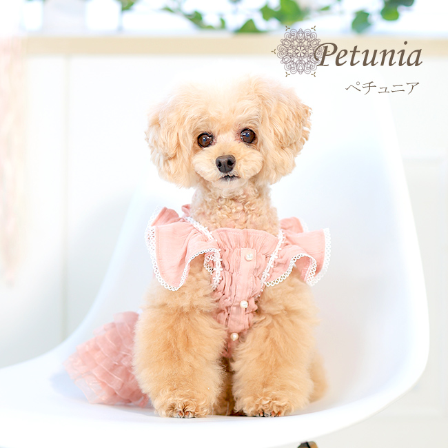 ペチュニア（Petunia）ピンク