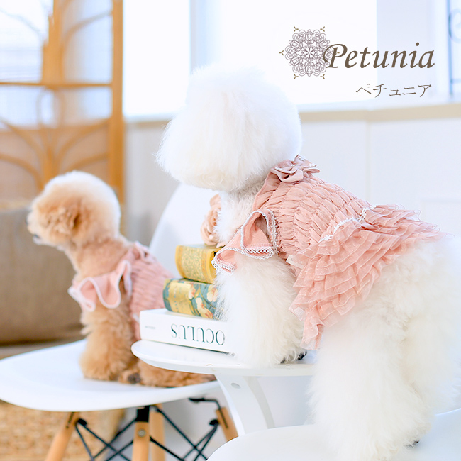 ペチュニア（Petunia）ピンク