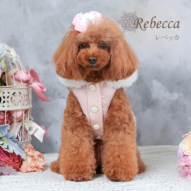 レベッカ(Rebecca)