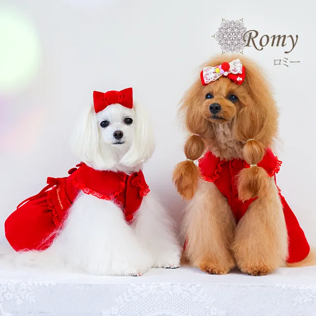 ロミー(Romy)
