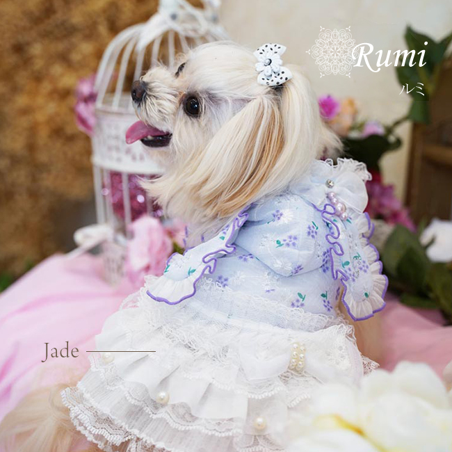 ルミ(Rumi)