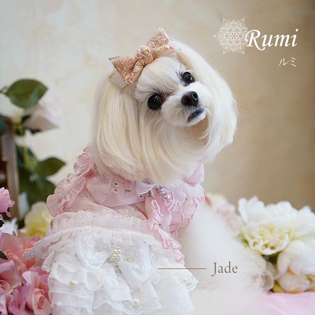 ルミ(Rumi)
