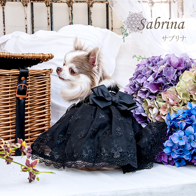 サブリナ（Sabrina）ブラック