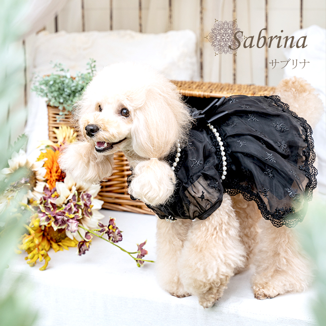 サブリナ（Sabrina）ブラック