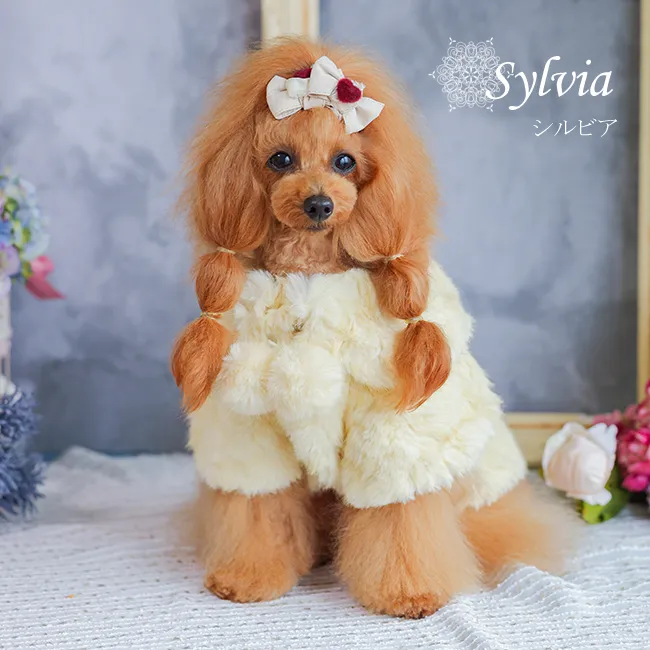 シルビア(Sylvia)