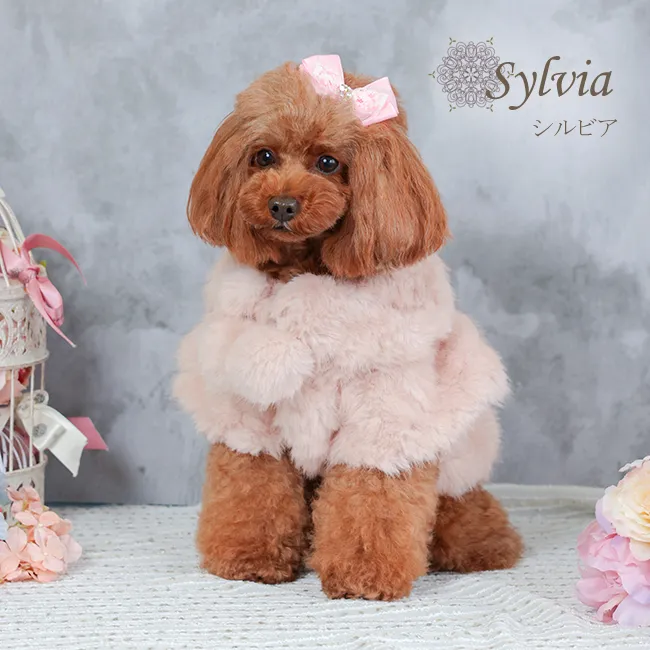シルビア(Sylvia)