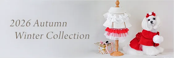 2026 Autumn Winter Collection