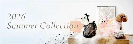 2026 Summer Collection