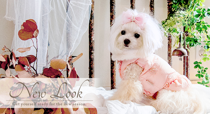 犬服ブランド「グラマーイズム（Glamourism）秋冬コレクション