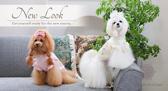 犬服ブランド「グラマーイズム（Glamourism）2026 Autumn Winter Collection