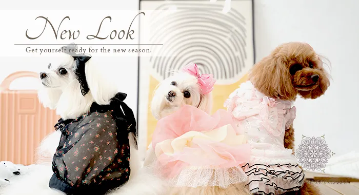 犬服ブランド「グラマーイズム（Glamourism）2026 Summer Collection
